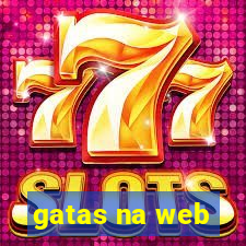 gatas na web